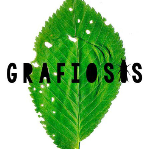 PROGRAMA-GRAFIOSIS-2023-1